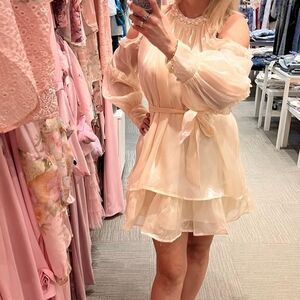 Sheer Ruffle Tiered Mini Dress in Blush